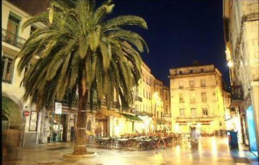 Studio Cosy Au Coeur De L'Ecusson - Arenes A 2 Min Nîmes Exterior foto